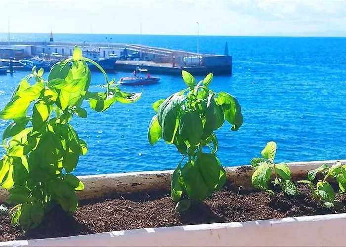 Apartman Buena Pesca 7